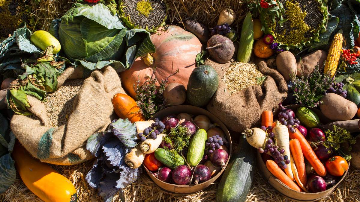 Read more about the article Four Amazing Harvest Festivals Around the World