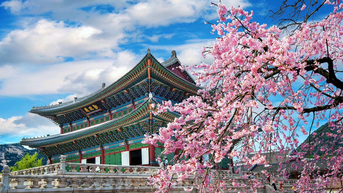 Read more about the article Study Abroad in Seoul, South Korea with AIFS