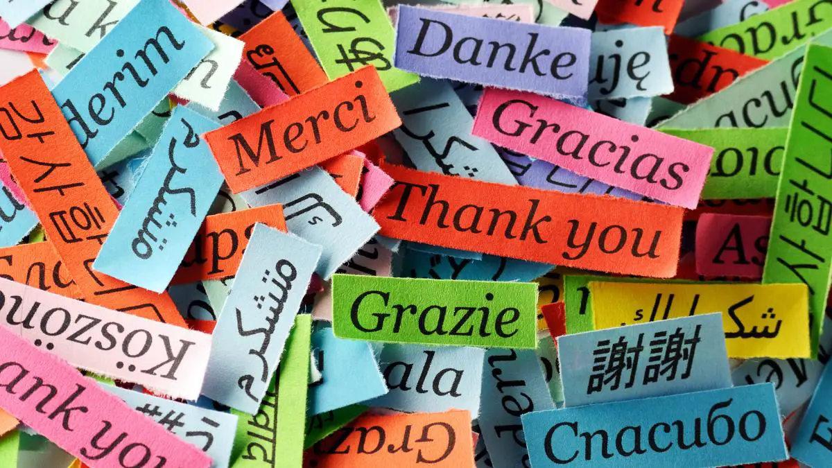 You are currently viewing How to Say “Thank You” in 11 Different Languages